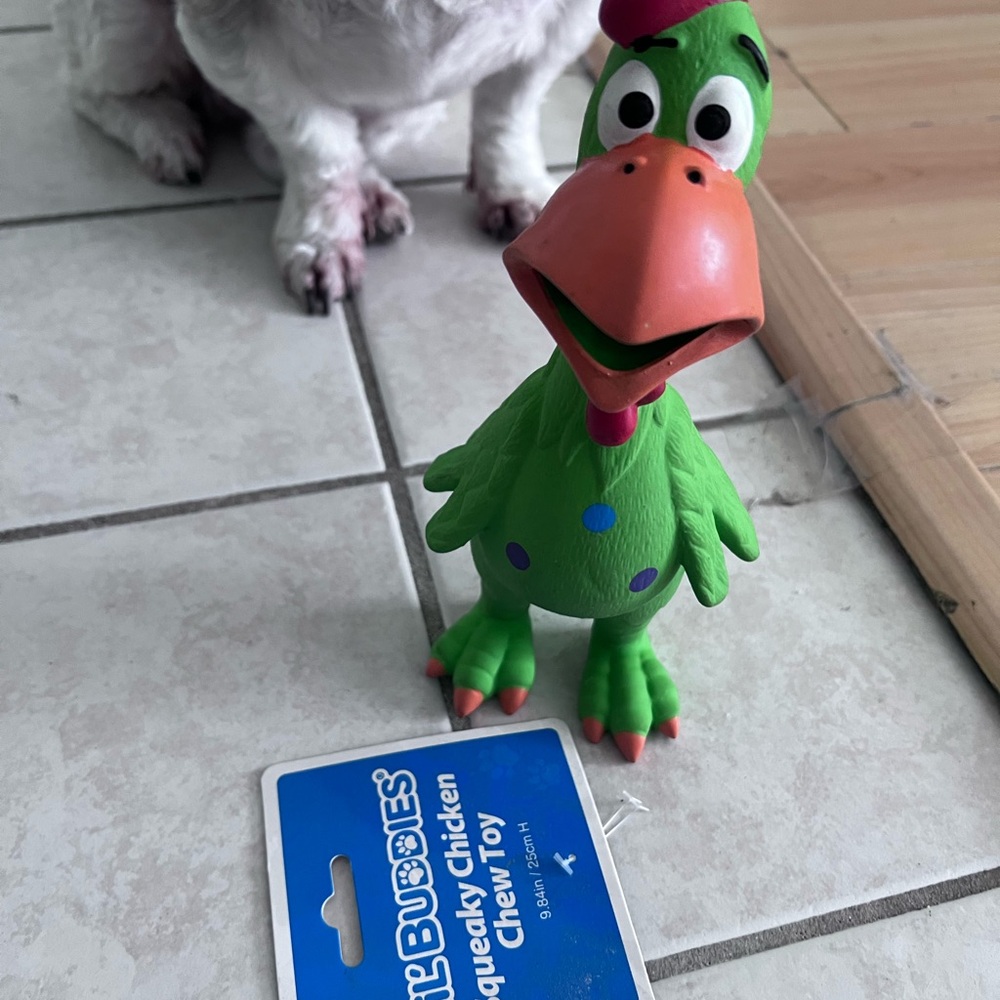 Buddies Green Squeaky Chicken Chew Dog Toy